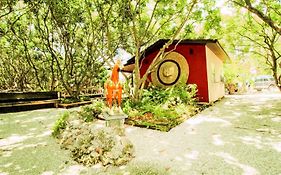 Delightful Sukiya Tiny House! Japanese Garden In Homestead