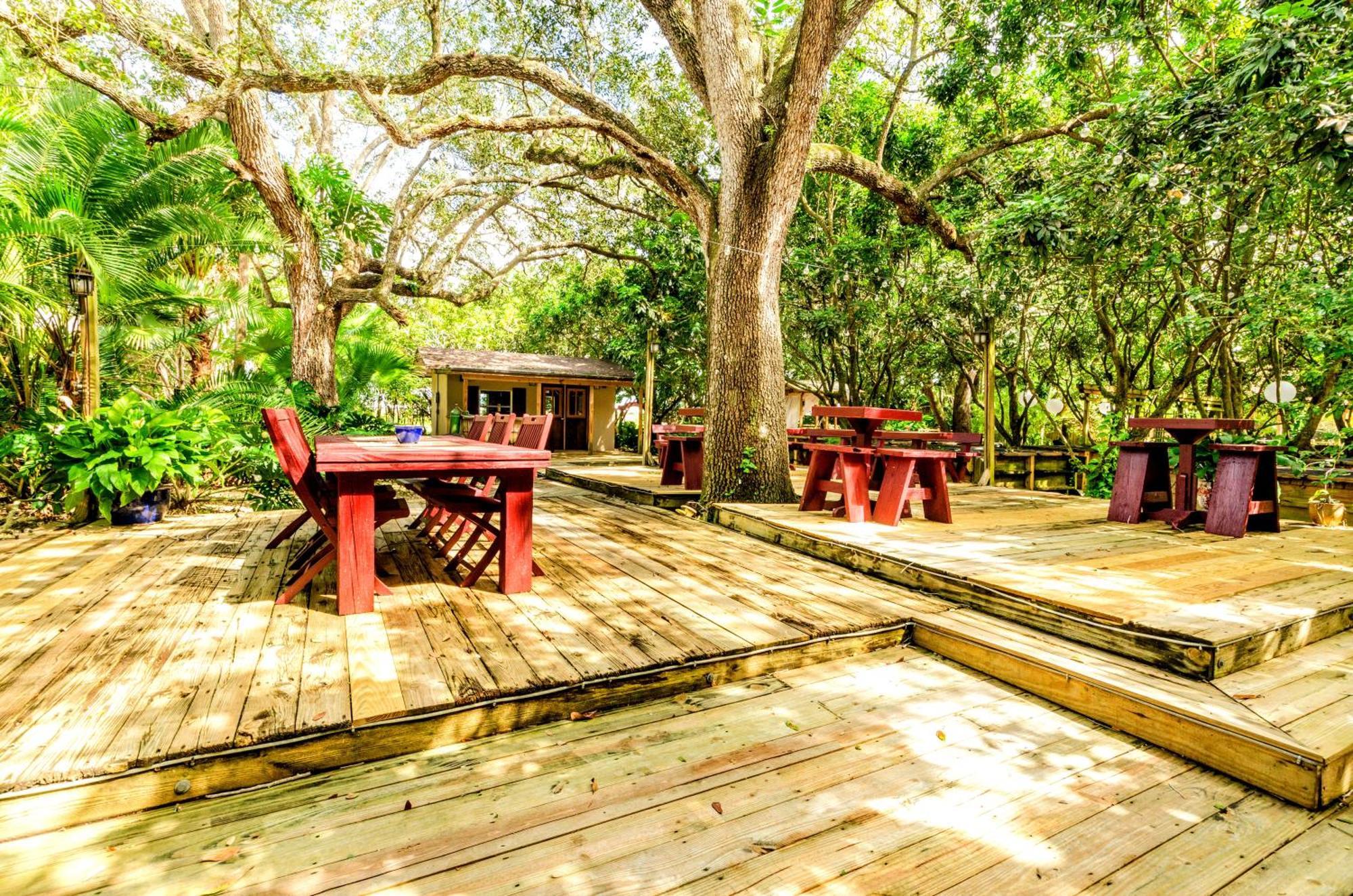 Delightful Sukiya Tiny House! Japanese Garden In Homestead Exterior photo